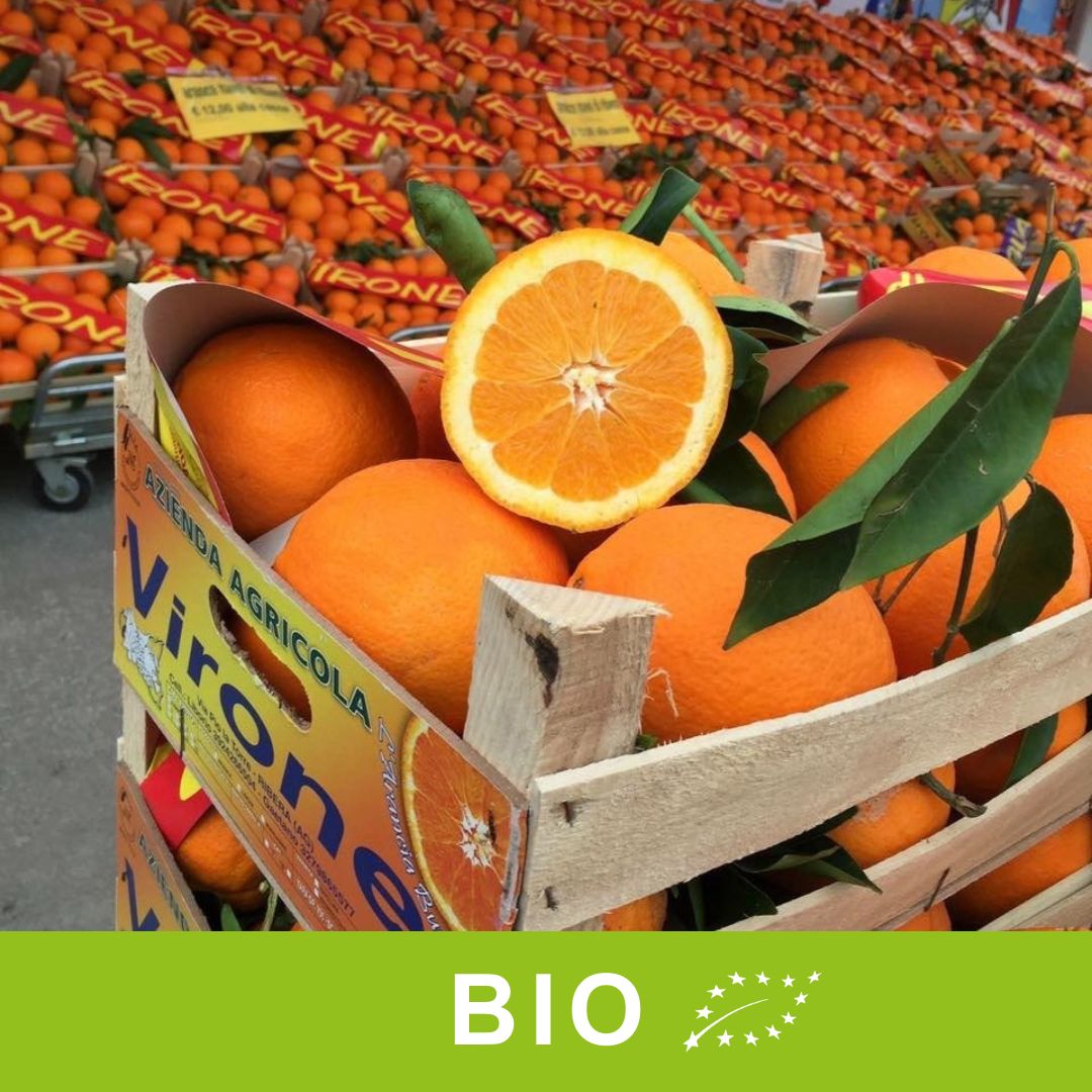 Arance Siciliane Varietà BIO da Tavola 10 kg