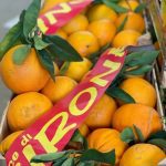 Sizilianische Orangen - Sorte W.Navel EXTRA CALIBER - 10 kg